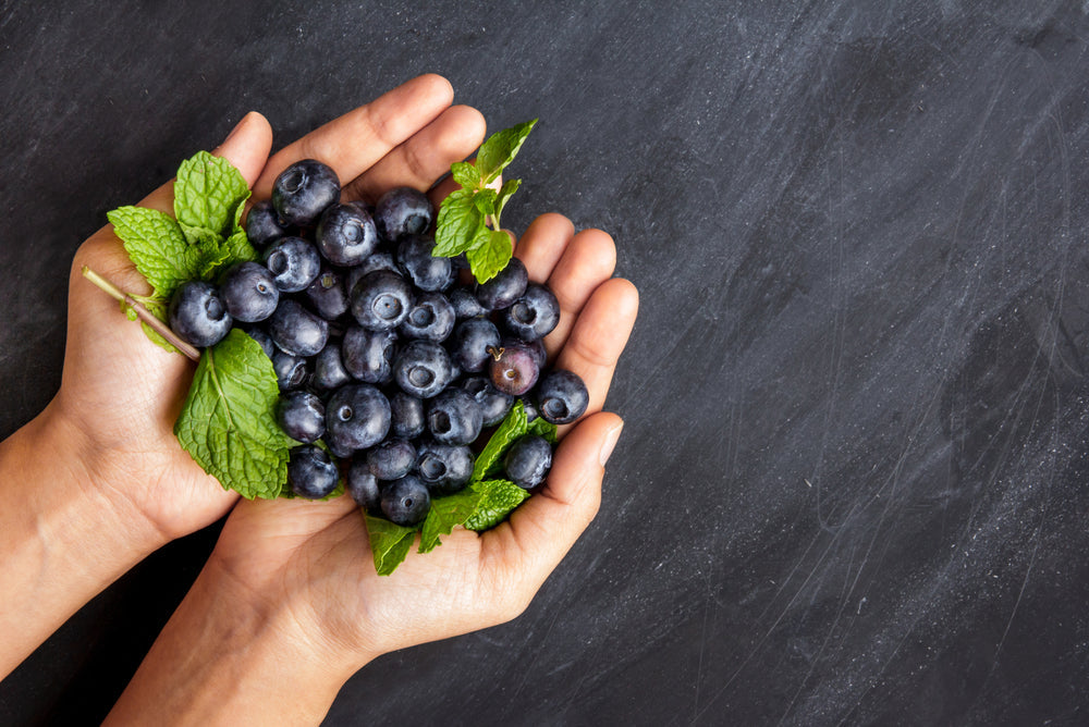 Fresh,Blueberries,In,Hands,On,Black,Board,For,Background,With